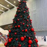 ヒメ日記 2025/12/14 09:31 投稿 ゆうき 佐賀人妻デリヘル 「デリ夫人」