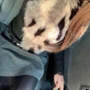 ヒメ日記 2025/12/14 11:35 投稿 ゆうき 佐賀人妻デリヘル 「デリ夫人」