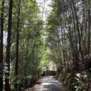 ヒメ日記 2025/12/21 13:25 投稿 ゆうき 佐賀人妻デリヘル 「デリ夫人」