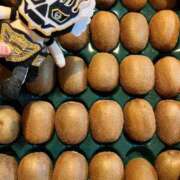 ヒメ日記 2026/01/18 20:41 投稿 ゆうき 佐賀人妻デリヘル 「デリ夫人」