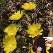 ヒメ日記 2026/01/27 08:21 投稿 ゆうき 佐賀人妻デリヘル 「デリ夫人」