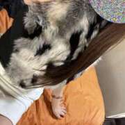 ヒメ日記 2026/02/10 13:31 投稿 ゆうき 佐賀人妻デリヘル 「デリ夫人」