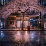 ヒメ日記 2026/02/24 19:19 投稿 ゆうき 佐賀人妻デリヘル 「デリ夫人」