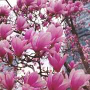 ヒメ日記 2026/02/25 07:44 投稿 ゆうき 佐賀人妻デリヘル 「デリ夫人」