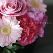 ヒメ日記 2026/03/20 09:37 投稿 ゆうき 佐賀人妻デリヘル 「デリ夫人」