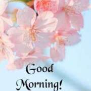 ヒメ日記 2026/03/23 08:58 投稿 ゆうき 佐賀人妻デリヘル 「デリ夫人」