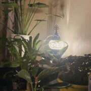 ヒメ日記 2026/03/24 23:20 投稿 ゆうき 佐賀人妻デリヘル 「デリ夫人」