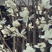 ヒメ日記 2026/03/27 06:41 投稿 ゆうき 佐賀人妻デリヘル 「デリ夫人」