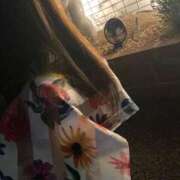 ヒメ日記 2026/03/31 20:58 投稿 ゆうき 佐賀人妻デリヘル 「デリ夫人」