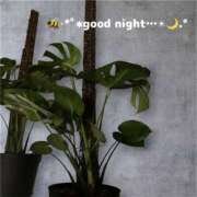 ヒメ日記 2026/04/05 23:05 投稿 ゆうき 佐賀人妻デリヘル 「デリ夫人」