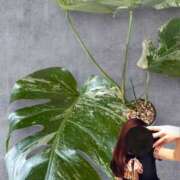 ヒメ日記 2026/04/06 12:09 投稿 ゆうき 佐賀人妻デリヘル 「デリ夫人」