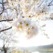 ヒメ日記 2026/04/07 08:07 投稿 ゆうき 佐賀人妻デリヘル 「デリ夫人」