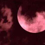 ヒメ日記 2026/04/09 00:00 投稿 ゆうき 佐賀人妻デリヘル 「デリ夫人」