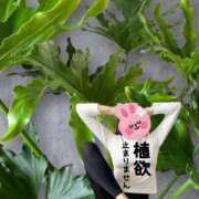 ヒメ日記 2026/04/10 10:33 投稿 ゆうき 佐賀人妻デリヘル 「デリ夫人」