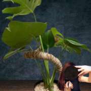 ヒメ日記 2026/04/12 23:42 投稿 ゆうき 佐賀人妻デリヘル 「デリ夫人」