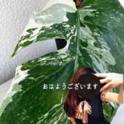 ヒメ日記 2026/05/23 09:18 投稿 ゆうき 佐賀人妻デリヘル 「デリ夫人」