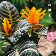 ヒメ日記 2026/06/08 08:16 投稿 ゆうき 佐賀人妻デリヘル 「デリ夫人」