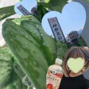 ヒメ日記 2026/07/12 15:53 投稿 ゆうき 佐賀人妻デリヘル 「デリ夫人」