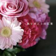 ヒメ日記 2026/07/13 20:29 投稿 ゆうき 佐賀人妻デリヘル 「デリ夫人」