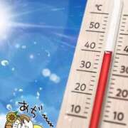 ヒメ日記 2026/08/25 11:30 投稿 ゆうき 佐賀人妻デリヘル 「デリ夫人」