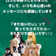 ヒメ日記 2026/09/01 19:11 投稿 ゆうき 佐賀人妻デリヘル 「デリ夫人」