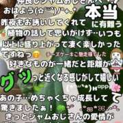 ヒメ日記 2026/09/20 08:58 投稿 ゆうき 佐賀人妻デリヘル 「デリ夫人」