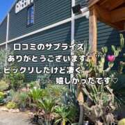 ヒメ日記 2026/09/23 12:56 投稿 ゆうき 佐賀人妻デリヘル 「デリ夫人」