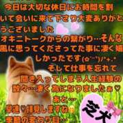 ヒメ日記 2026/09/30 20:05 投稿 ゆうき 佐賀人妻デリヘル 「デリ夫人」