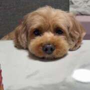 りく ＼触れ合い／ Candy×Candy （キャンディ×キャンディ）