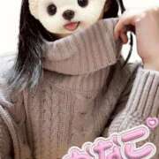 ヒメ日記 2025/10/18 02:36 投稿 かなこ 吉原ファーストレディ