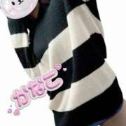 ヒメ日記 2025/10/31 14:16 投稿 かなこ 吉原ファーストレディ