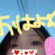 ヒメ日記 2025/11/05 06:41 投稿 かなこ 吉原ファーストレディ