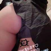 ヒメ日記 2026/04/14 21:35 投稿 かなこ 吉原ファーストレディ