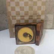 ヒメ日記 2025/07/24 10:41 投稿 ねねちゃん 横浜オナクラ 横浜JKプレイ