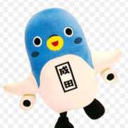 ヒメ日記 2025/11/05 17:08 投稿 よつば 成田人妻花壇