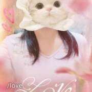 ヒメ日記 2026/01/21 08:02 投稿 よつば 成田人妻花壇