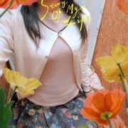 ヒメ日記 2026/02/23 23:23 投稿 よつば 成田人妻花壇