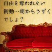 ヒメ日記 2025/12/17 07:10 投稿 （松本市発）麗華（れいか）お姉様 コインダムール(松本)