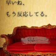 ヒメ日記 2025/12/29 10:59 投稿 （松本市発）麗華（れいか）お姉様 コインダムール(松本)