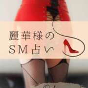 ヒメ日記 2026/02/12 11:17 投稿 （松本市発）麗華（れいか）お姉様 コインダムール(松本)