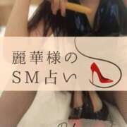 ヒメ日記 2026/02/16 11:13 投稿 （松本市発）麗華（れいか）お姉様 コインダムール(松本)