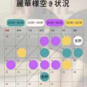 ヒメ日記 2026/04/14 10:13 投稿 （松本市発）麗華（れいか）お姉様 コインダムール(松本)