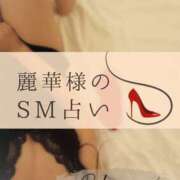 ヒメ日記 2026/05/20 11:13 投稿 （松本市発）麗華（れいか）お姉様 コインダムール(松本)