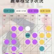 ヒメ日記 2026/06/14 10:10 投稿 （松本市発）麗華（れいか）お姉様 コインダムール(松本)