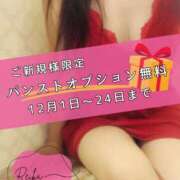 ヒメ日記 2025/12/14 11:15 投稿 （松本市発）れいか先生 アロマーナ