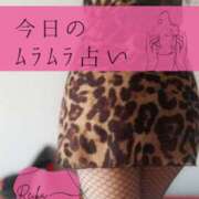 ヒメ日記 2025/12/19 11:13 投稿 （松本市発）れいか先生 アロマーナ