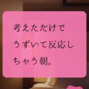 ヒメ日記 2025/12/29 11:04 投稿 （松本市発）れいか先生 アロマーナ