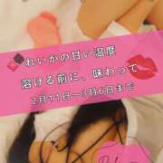 ヒメ日記 2026/02/10 08:10 投稿 （松本市発）れいか先生 アロマーナ