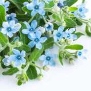 ヒメ日記 2025/10/20 19:05 投稿 一ノ瀬ゆうか 月の真珠-五反田-