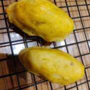 ヒメ日記 2025/11/09 20:49 投稿 イロハ秘書 秘書の品格 クラブアッシュ ヴァリエ